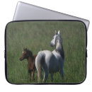 Suche nach fohlen laptop schutzhüllen Foto