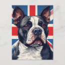 Suche nach bull terrier postkarten Rasse