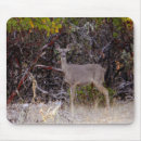 Suche nach maultier mousepads Foto