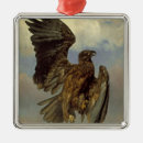 Suche nach adler ornamente Raubvogel