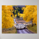 Suche nach sheep poster Farm