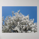 Suche nach in der blüte poster Frühling