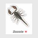 Suche nach skorpion aufkleber Vintag