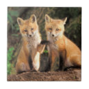 Suche nach roter fuchs fliesen Tiere