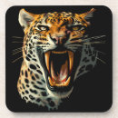 Suche nach jaguar untersetzer Leopard