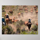 Suche nach rind poster Western