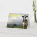 Suche nach lustige vieh karten Kühe