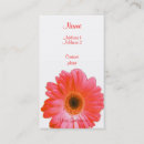 Suche nach roter gerbera visitenkarten Blume