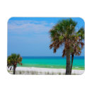Suche nach palme magnete Beach