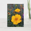 Suche nach cosmos karten Blumen