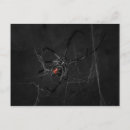 Suche nach schwarze witwe postkarten Für alle