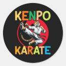 Suche nach selbstverteidigung aufkleber Karate bewegung