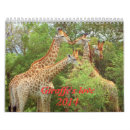 Suche nach giraffen kalender Natur