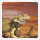 Suche nach tierkörperteil aufkleber Innen