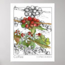 Suche nach kaffeebohnen poster Jede person