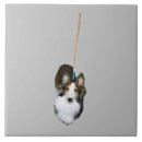 Suche nach lustige bilder fliesen Hund