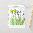 Suche nach dandelions postkarten Jede person
