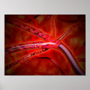 Suche nach rote blutkörperchen poster Digital erzeugtes bild