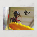 Suche nach ameisen postkarten Für sie