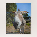 Suche nach esel puzzle Natur