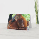 Suche nach du fehlst uns karten Niedlich