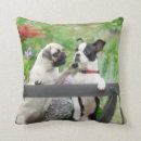 Suche nach ei kissen Für sie