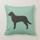 Suche nach chesapeake Retriever