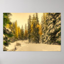Suche nach pine tree poster Winter