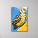 Suche nach europäisch leinwandbilder Natur