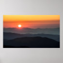 Suche nach lorbeere poster Wald