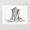 Suche nach anatomie postkarten Medizinisch