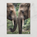 Suche nach elefant liebe postkarten Niedlich