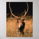 Suche nach habitat poster Wild lebende tiere