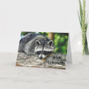 Suche nach raccoon karten Racon