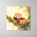 Suche nach roter panda leinwandbilder Tier