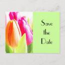 Suche nach hübsche tulpen einladungen Blumen