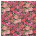 Suche nach rosen stoffe Rosa