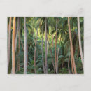 Suche nach französisch polynesien postkarten Insel