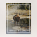 Suche nach yellowstone puzzle Amerikanischer bison