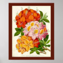 Suche nach robuste poster Natur