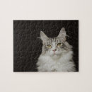 Suche nach maine coon puzzle Niedlich