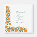 Suche nach zitrusfrucht magnete Botanisch