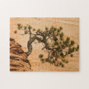 Suche nach kiefer puzzle Superstock