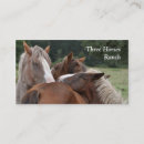 Suche nach ponys visitenkarten Tier