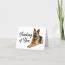 Suche nach hundewelpen karten Für alle