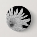 Suche nach chrysantheme buttons Mit blumen