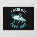 Suche nach axolotl postkarten Acholotls