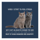 Suche nach glückliche katze poster Haustier