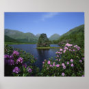 Suche nach united kingdom poster Wales