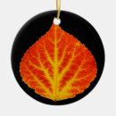 Suche nach espe ornamente Natur